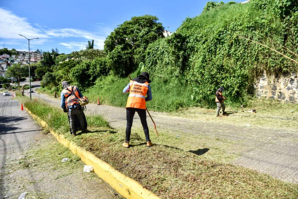 Realizan nueva jornada de plantación y mantenimiento de áreas verdes en&nbsp;Xalapa