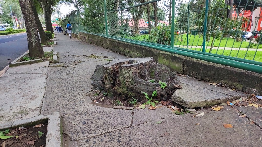 Piden reparar banqueta de Facultad de Economía&nbsp;UV