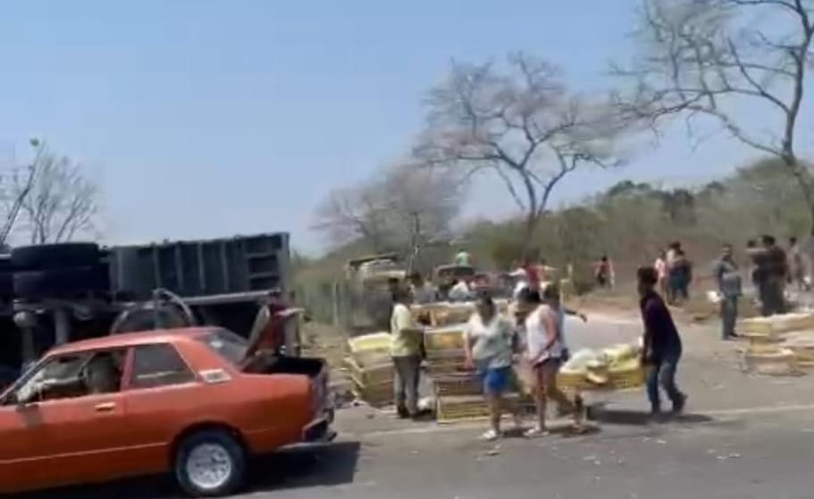 Vuelca tráiler y rapiñan rejas con pollos en la carretera&nbsp;Xalapa-Cardel