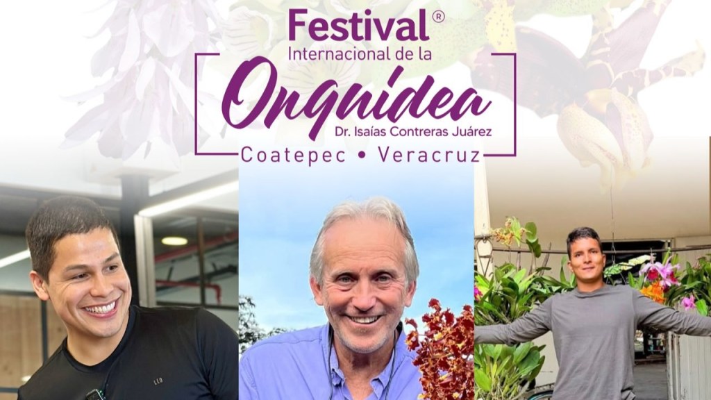 FIO 2026: La grandeza de las orquídeas en todos tus&nbsp;sentidos