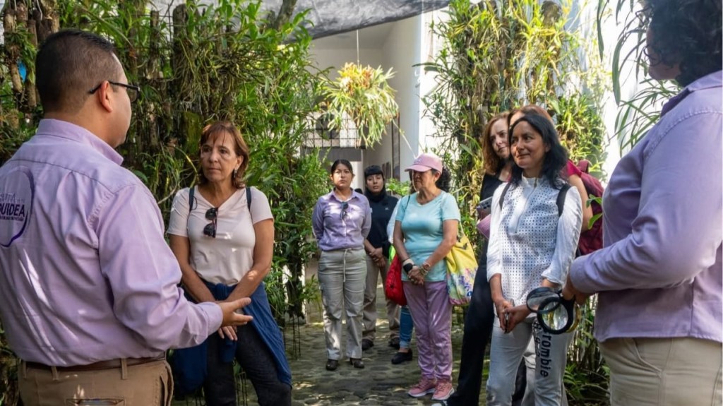 Festival Internacional de la Orquídea: El evento más importante que proyecta a&nbsp;Coatepec